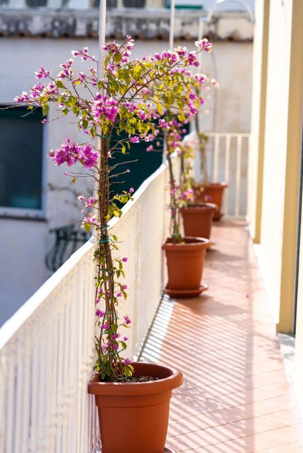 Vila Cocor Capri Exteriér fotografie